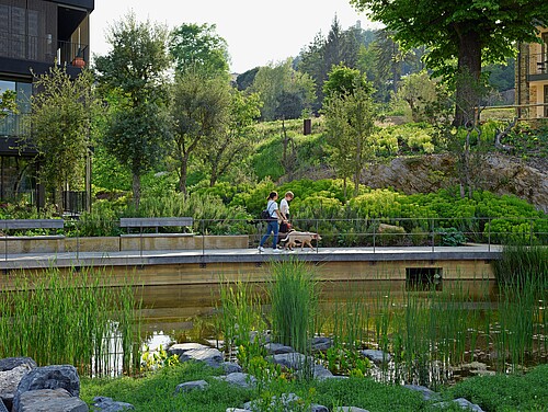 L’idée de la «ville éponge» est que les espaces urbains doivent être capables de collecter et de stocker autant d’eau que possible.