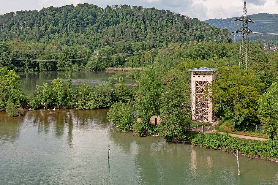 La tour d’observation de 14 mètres de haut située à l’embouchure de la Wehra offre une vue sur la réserve ornithologique et le long du Rhin.